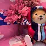 看暗夜流动