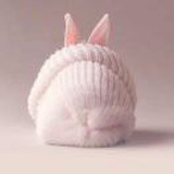 小豆芽瘦高高