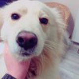 我是艾琳琳呀
