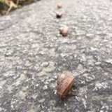 零