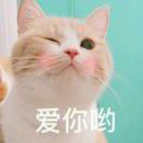 小透明一个