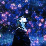 妮子