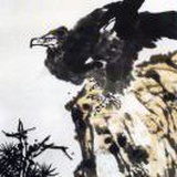 松石苍鹰