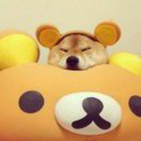 再遇见