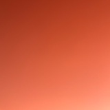 上树的狮子
