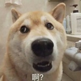 八戒爱吃大西瓜