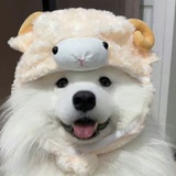 赶月归来