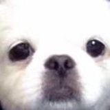 来杯啤的吧