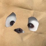 楚慈（考博中）