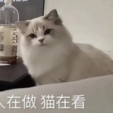 叶栗