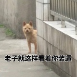 已注销