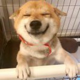 没有