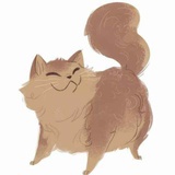 路过的一只猫