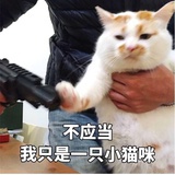 与你星辰相顾