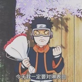 满岛光