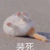 我又宅了一天