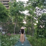 时光未晚