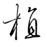 植老师