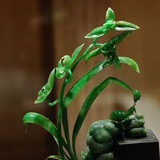 江春娇