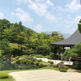 闲云野鹤