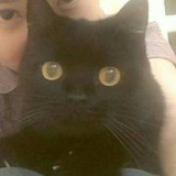 陌了个墨