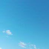 莫失、莫忘