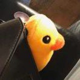 Bekipipo