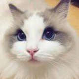 fiona