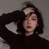 77猪