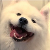 🍓冰糖