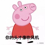你才是吹风机