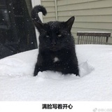 爱看电影的穷比