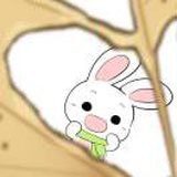 天上飞的是什么