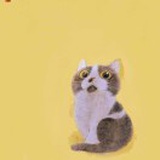 milkcat688888