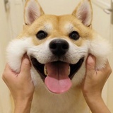 迪迦奥特曼