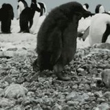 敖海天