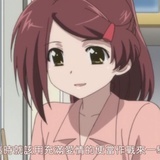 猫猫头