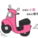图书馆里的兔子