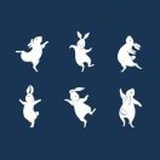 驴耳朵国王coral