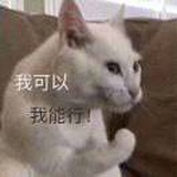 超可爱的