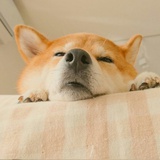 耳山