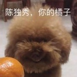 下坡不打刹啦