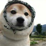 七月