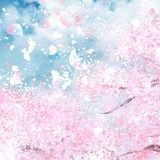 蜜蜂杀手