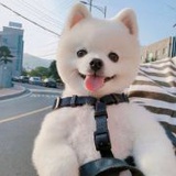 一点都不好笑xy