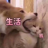 陈年墨忆