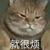 这里风好大