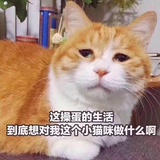 找寻快乐