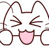 小猫爱吃鱼