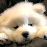 明天就睡觉
